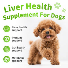 POPPAW liver-support chews bottle pour suggests easy daily dosing for gut and energy support