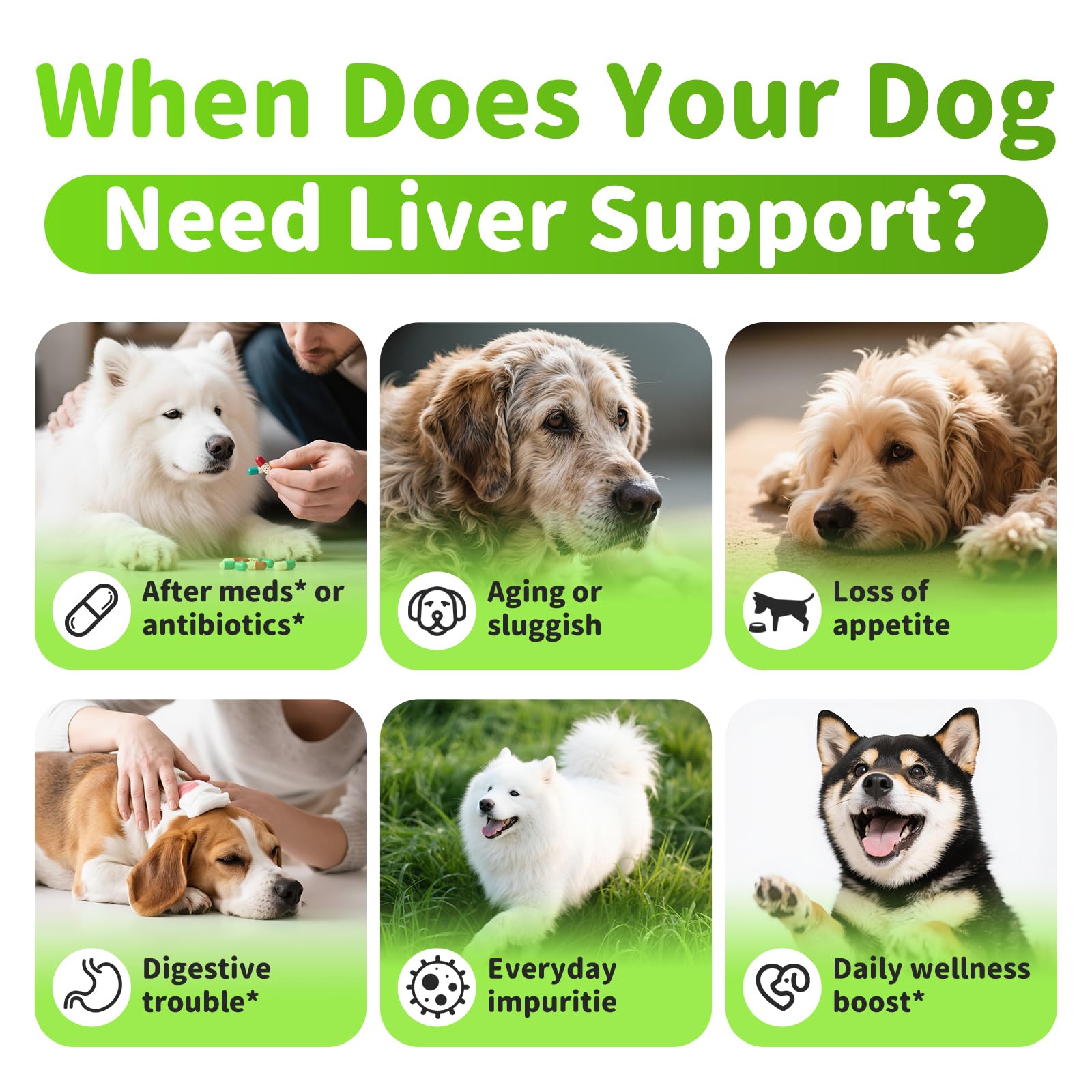 POPPAW SAMe and NAC blend visual implies targeted liver-support ingredients