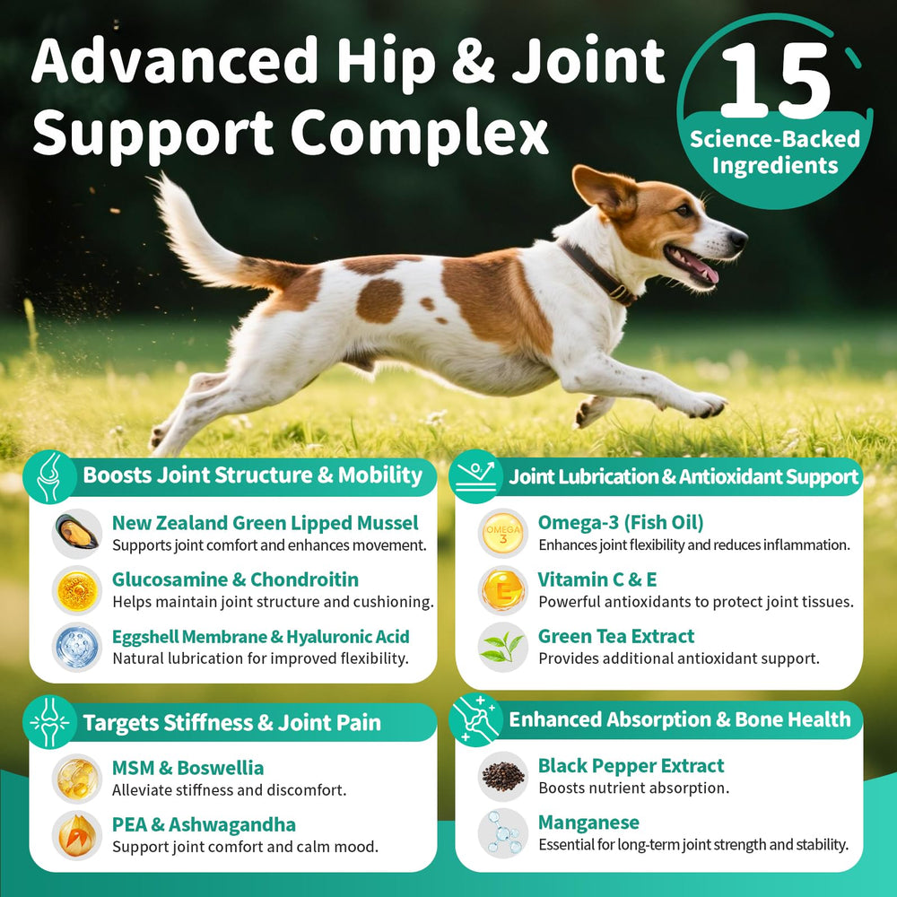 Poppaw dog-running captures an active dog benefiting from joint support.