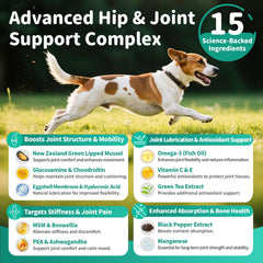 Poppaw dog-running captures an active dog benefiting from joint support.