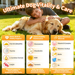 POPPAW joint-health dog supplements with glucosamine and MSM indicate flexible movement.