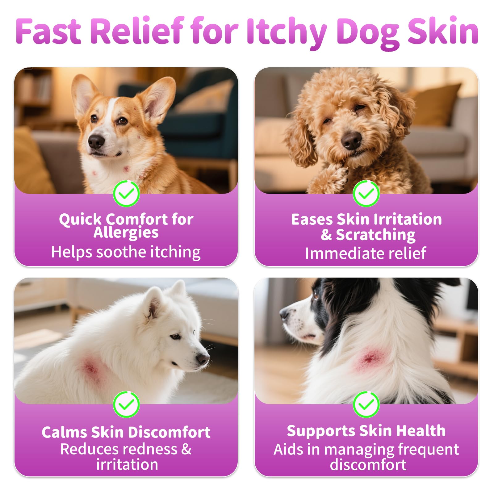 POPPAW Omega-3 gloss coat image displays nourishing fats that may promote a healthy, shiny coat.