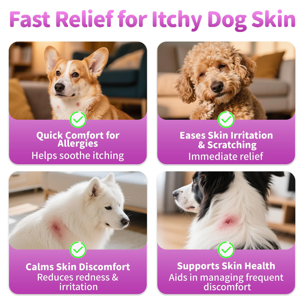 POPPAW Omega-3 gloss coat image displays nourishing fats that may promote a healthy, shiny coat.