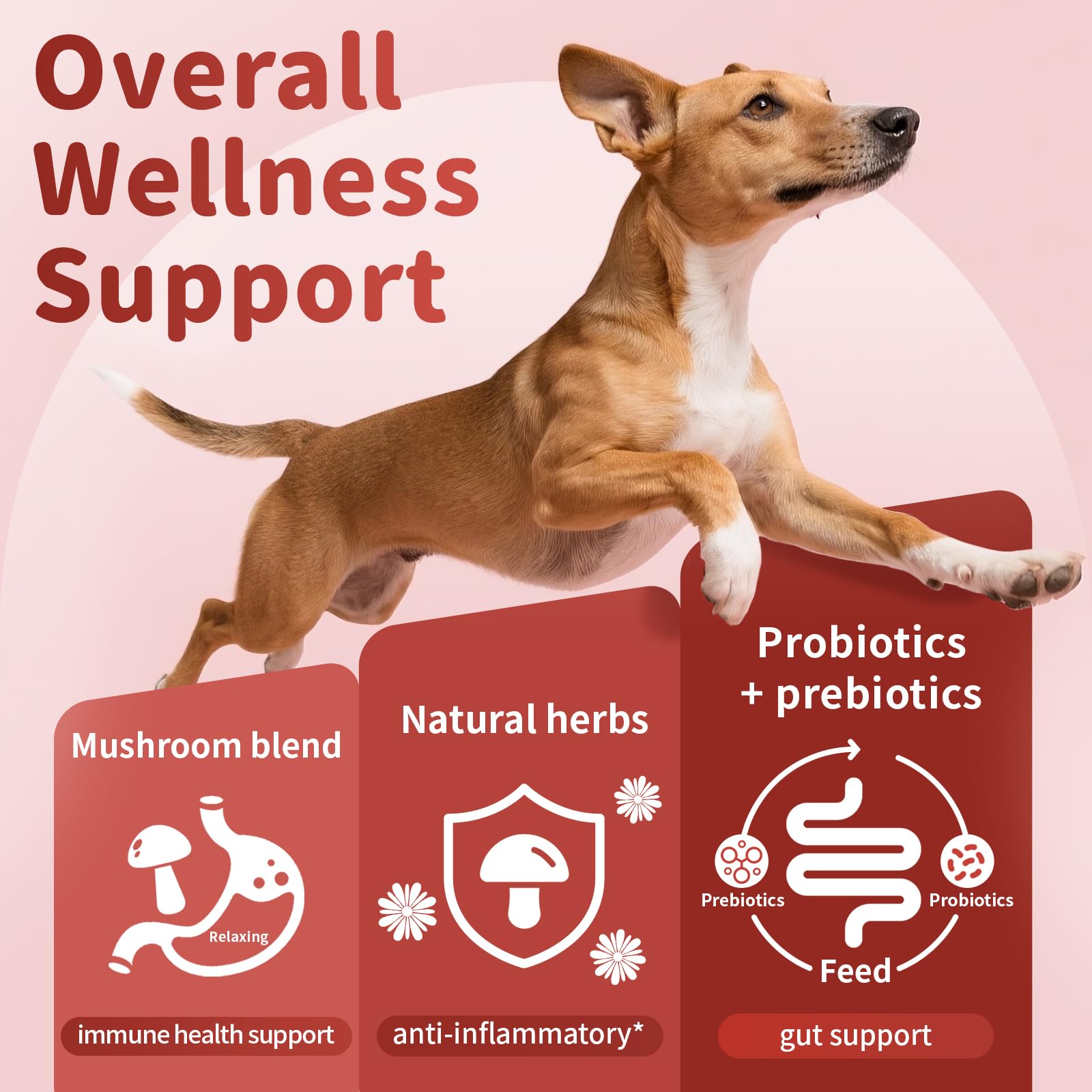 Poppaw probiotics ingredients ganoderma-turkey-tail closeup highlights immune-support blend.