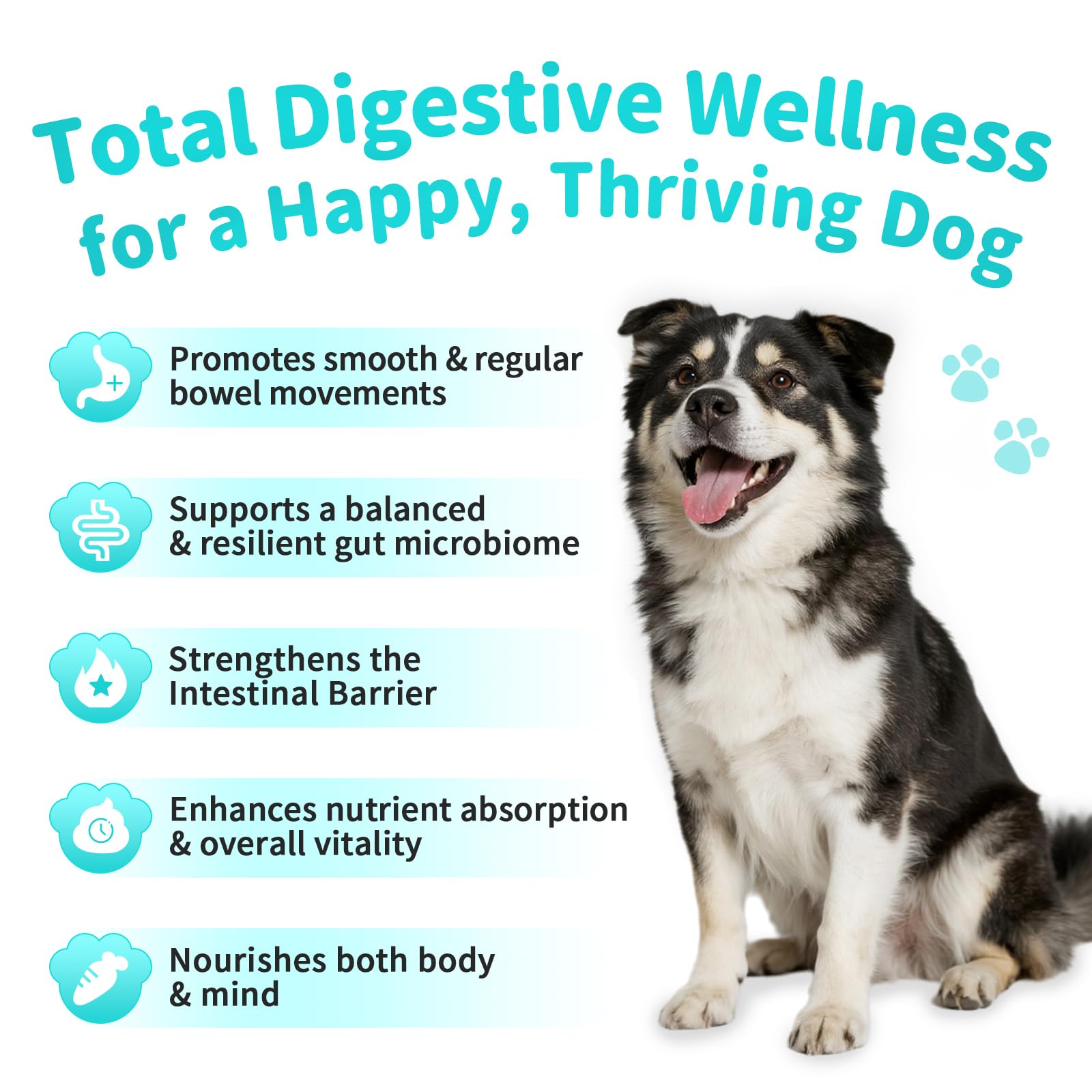 POPPAW pumpkin fiber dog supplement bowl shows fiber support for regularity.