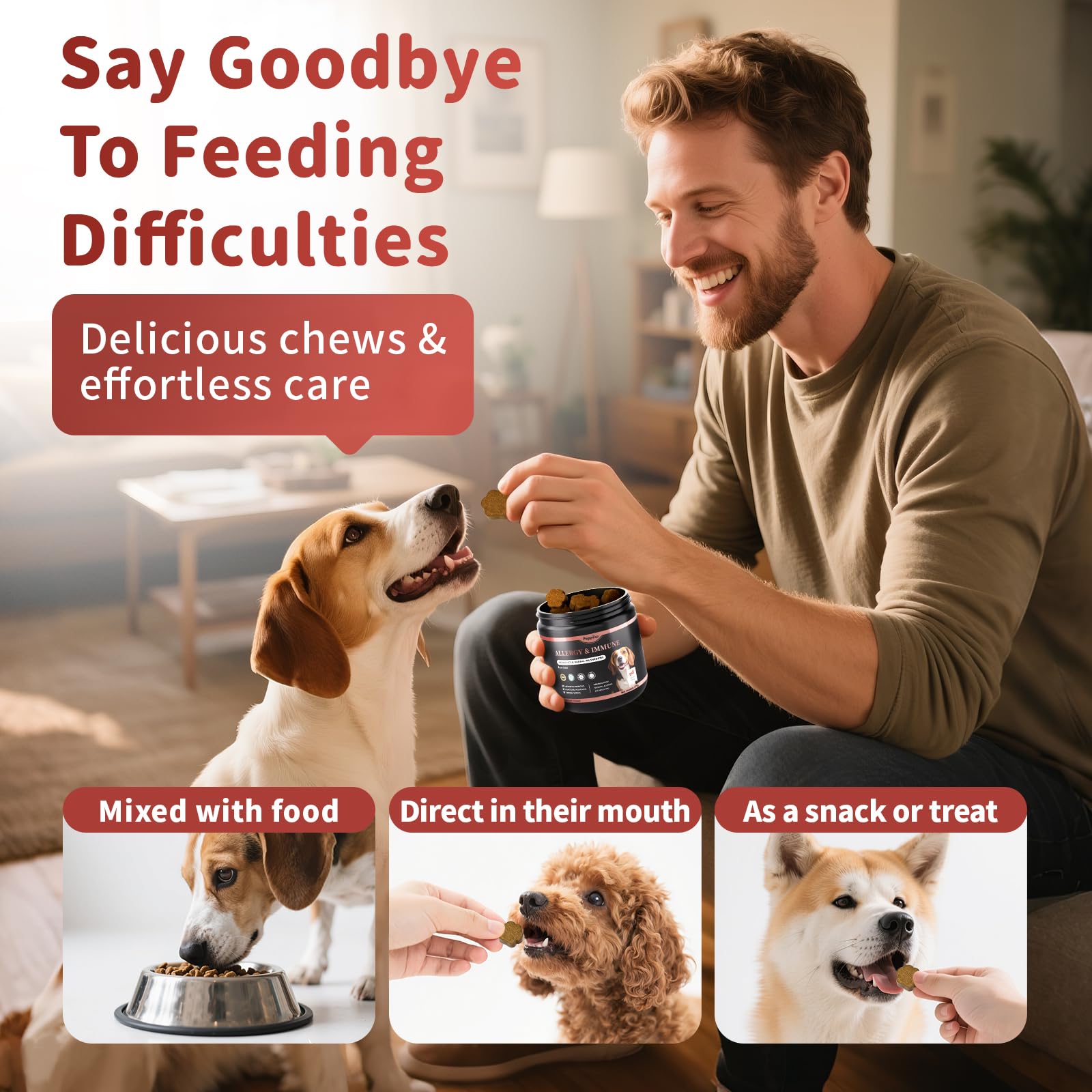 Poppaw seasonal allergies dog photo highlights adaptive comfort.