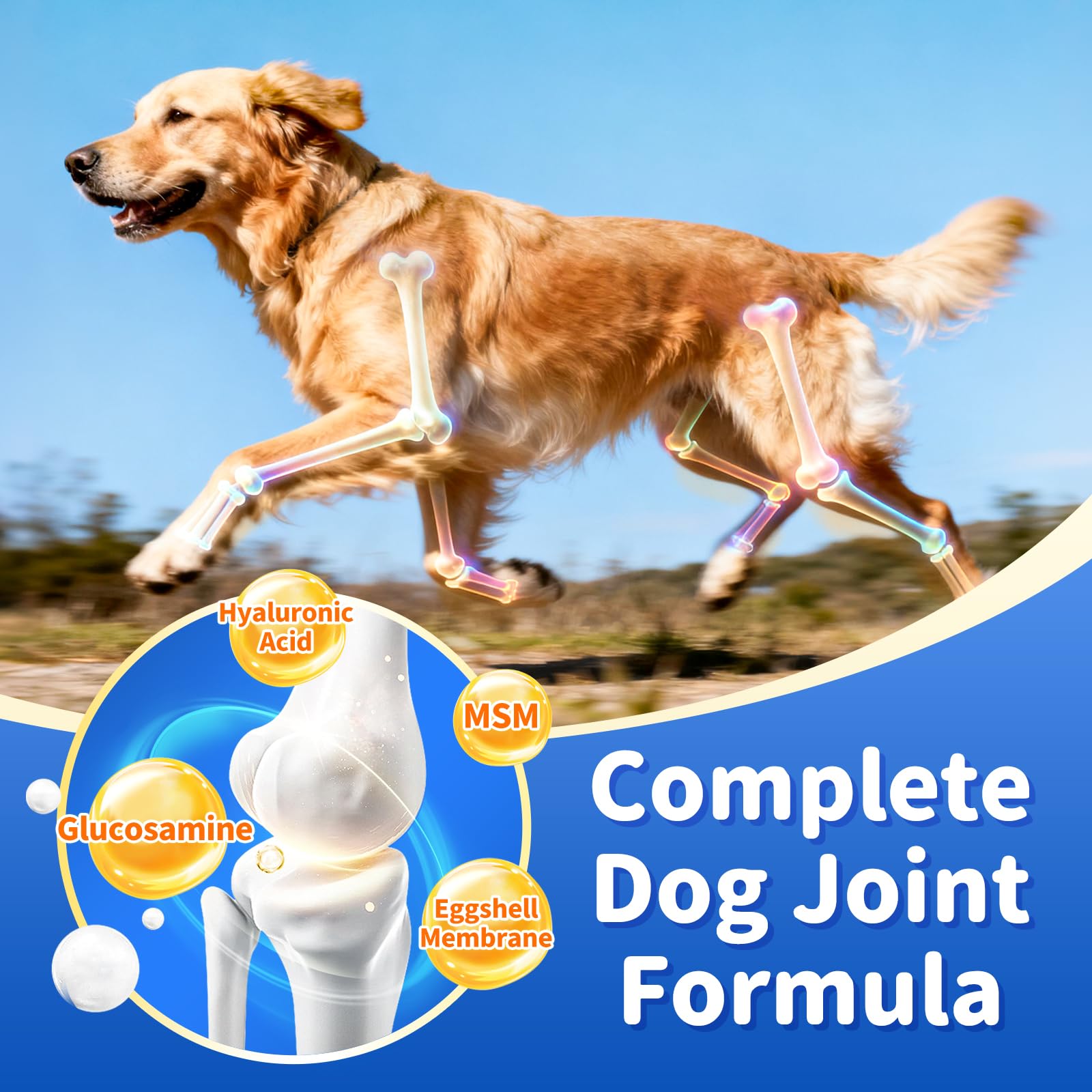 POPPAW soft-chews close-up shows easy digestion and senior-friendly texture
