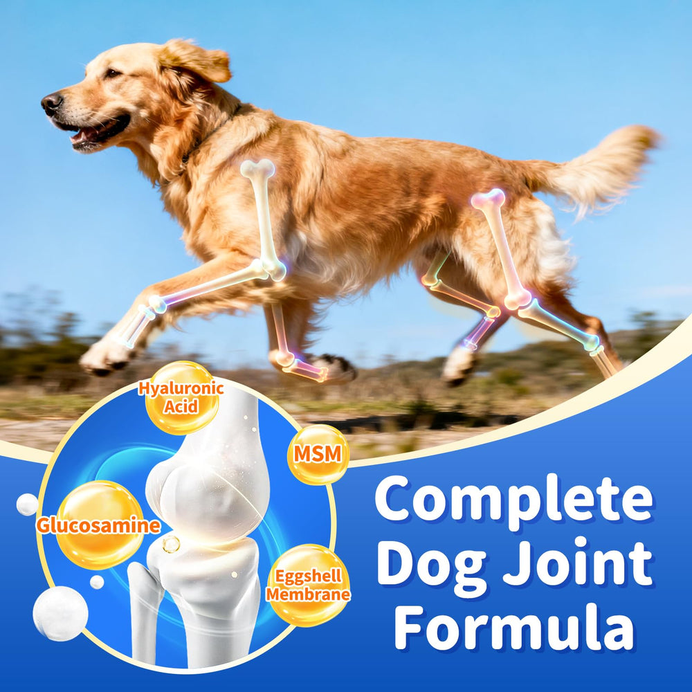 POPPAW soft-chews close-up shows easy digestion and senior-friendly texture