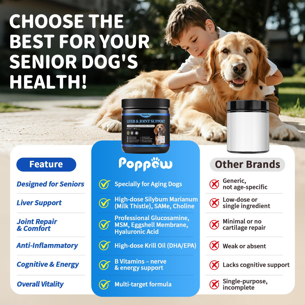 POPPAW glucosamine MSM eggshell membrane for joint support