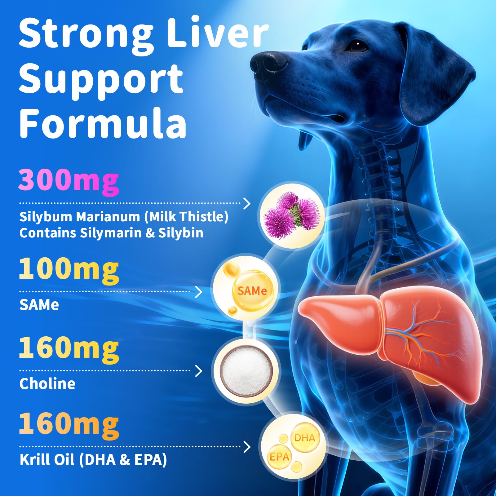 POPPAW krill oil promotes brain health and vitality in aging dogs
