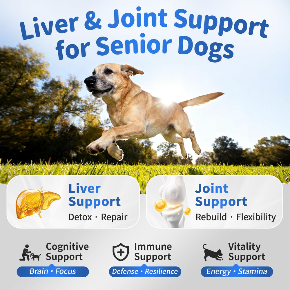 POPPAW soft chews chicken flavor for senior dogs aiding mobility and digestion