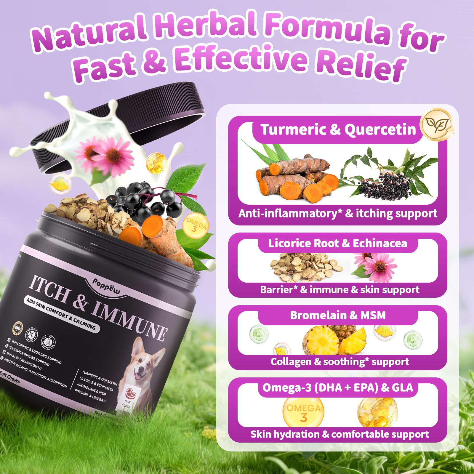 POPPAW Turmeric Quercetin spotlight shows natural ingredients that support occasional itching relief and seasonal comfort.