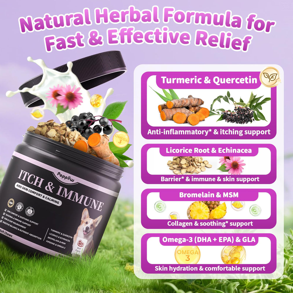 POPPAW Turmeric Quercetin spotlight shows natural ingredients that support occasional itching relief and seasonal comfort.