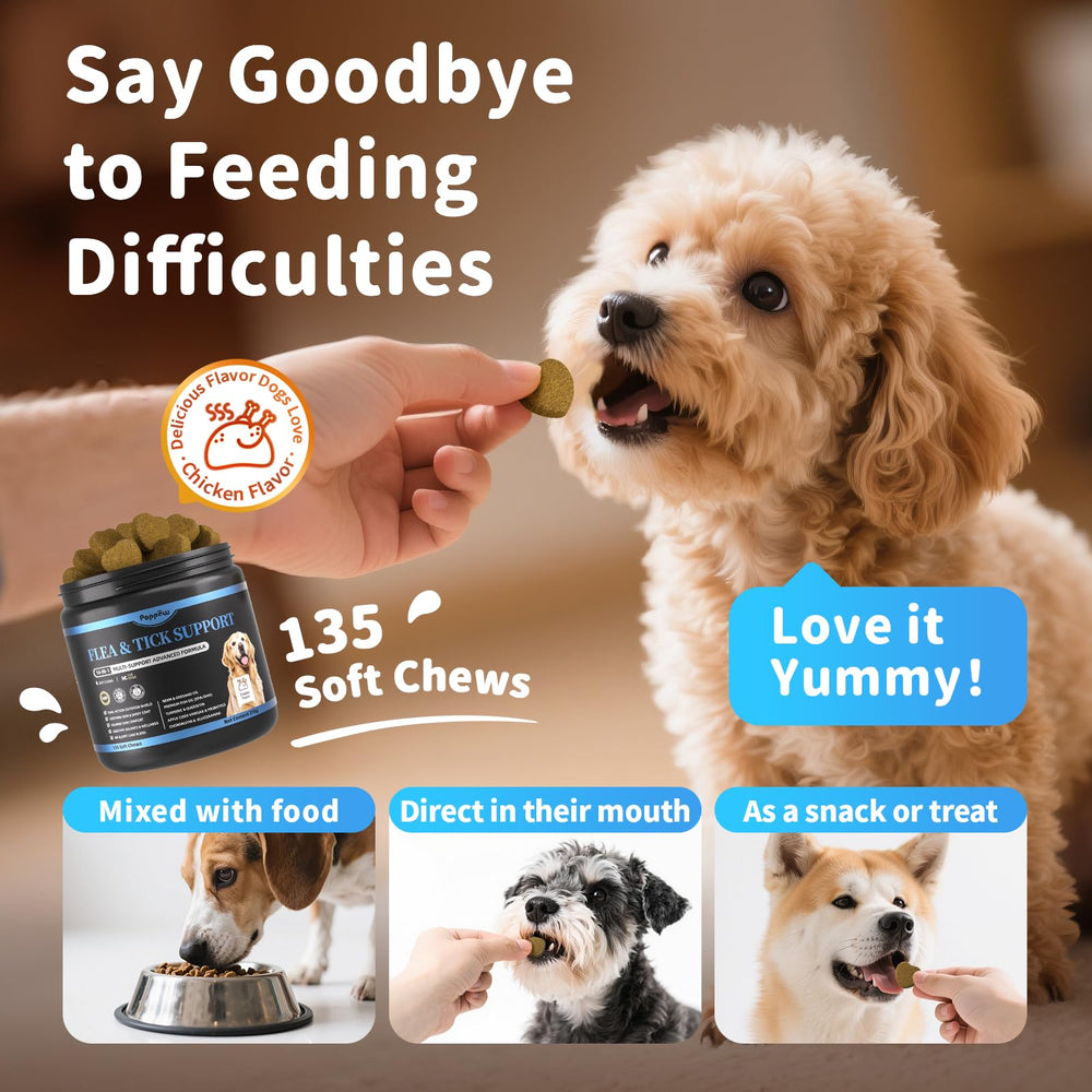 POPPAW turmeric-quercetin chews promote skin comfort and calm days