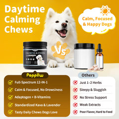 POPPAW Calming Chews dog with chew on walk illustrates mood support during travel.