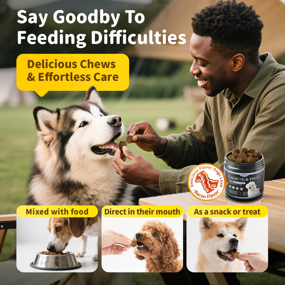 POPPAW Calming Chews packaging front communicates safe, consistent dosing for breeds.