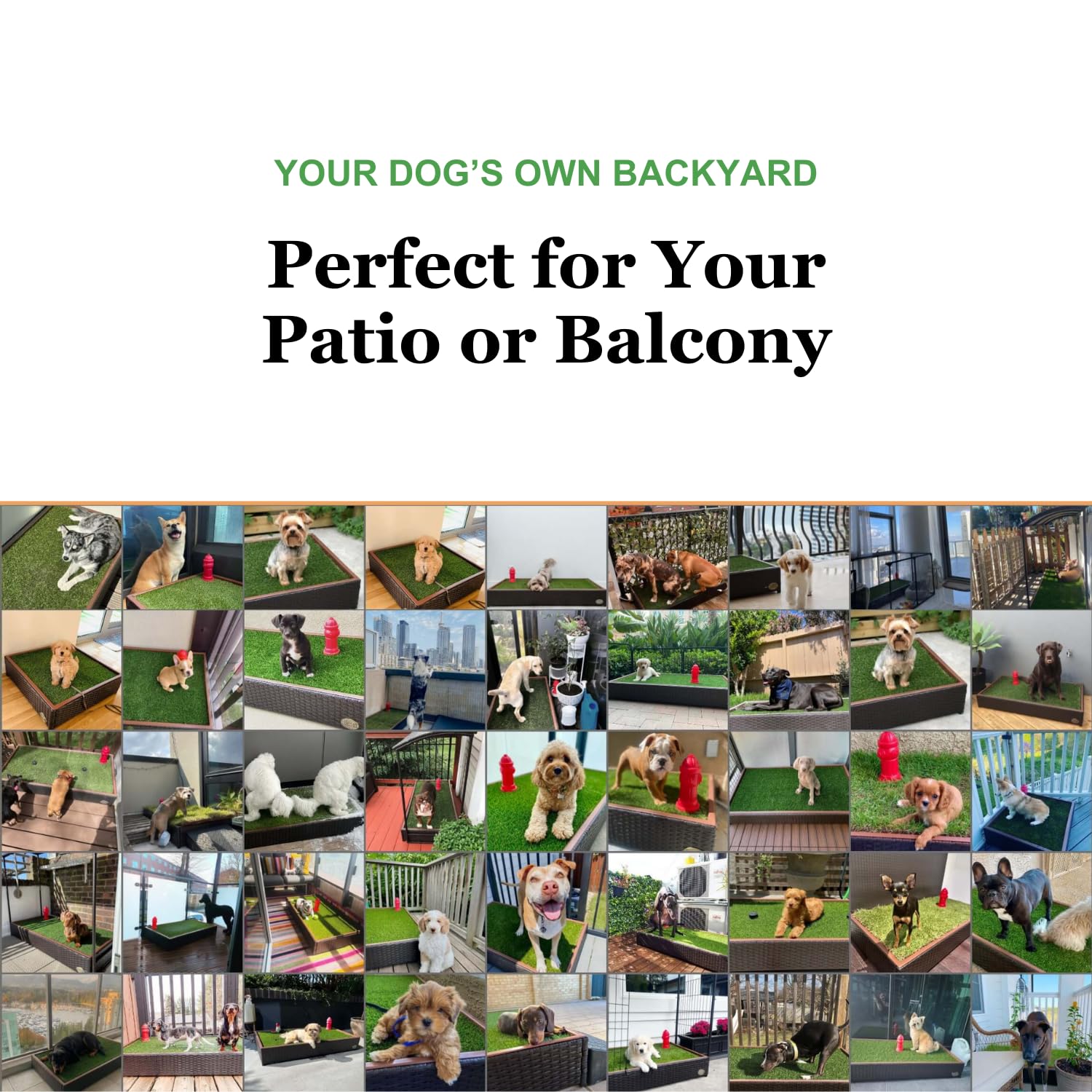 Porch Potty indoor-outdoor use scene demonstrates versatile setup for pets.