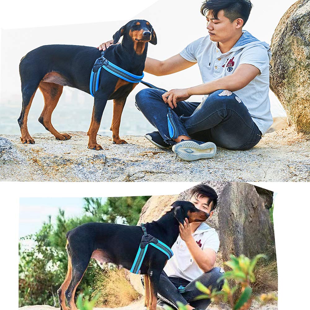 PORDLIE D-rings detail offers durable, versatile leash options