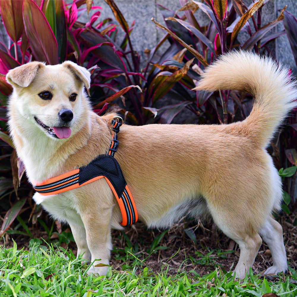 PORDLIE size adjustment feature helps achieve a secure, comfortable fit
