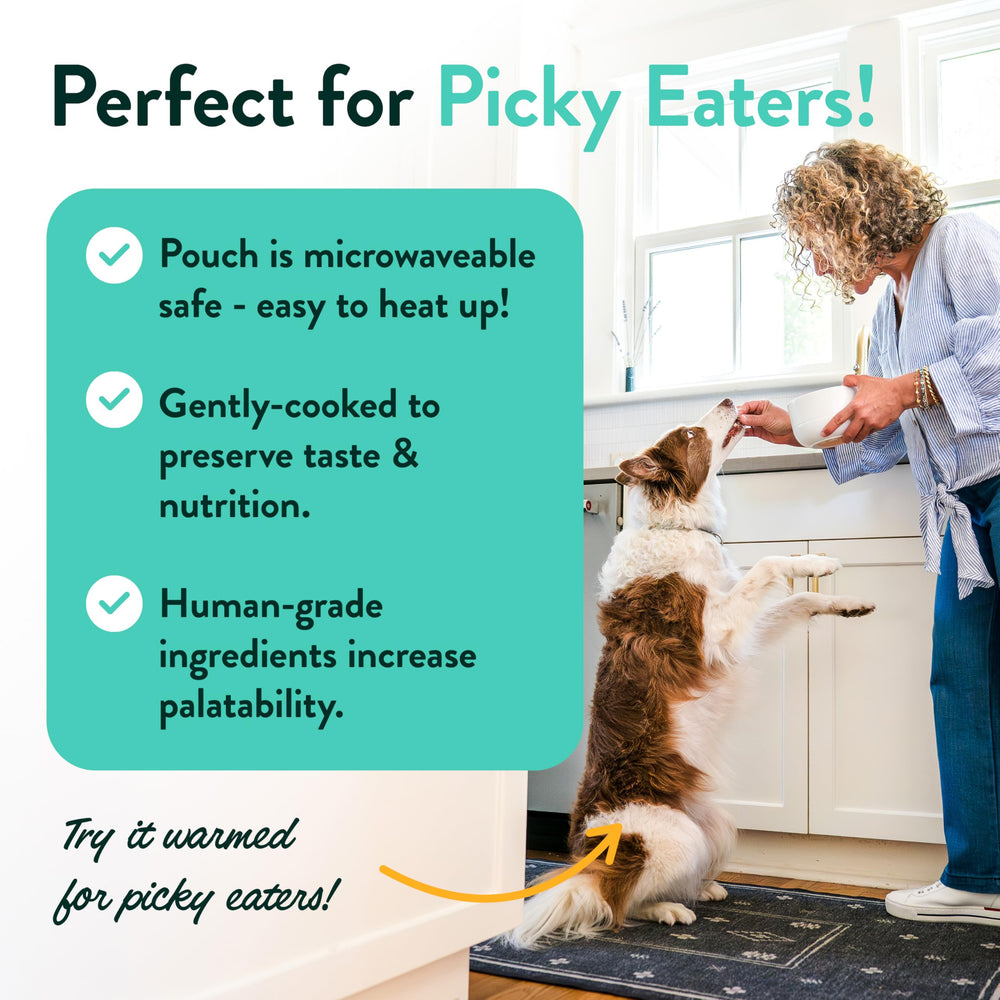 Portland Pet Food Company 8-pack Variety display highlights flavors in a convenient multipack.
