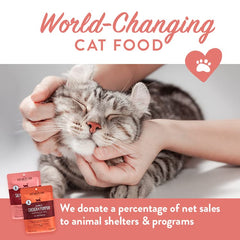 Portland Pet Food Company chicken pouch close-up – tender texture appeals to picky eaters.