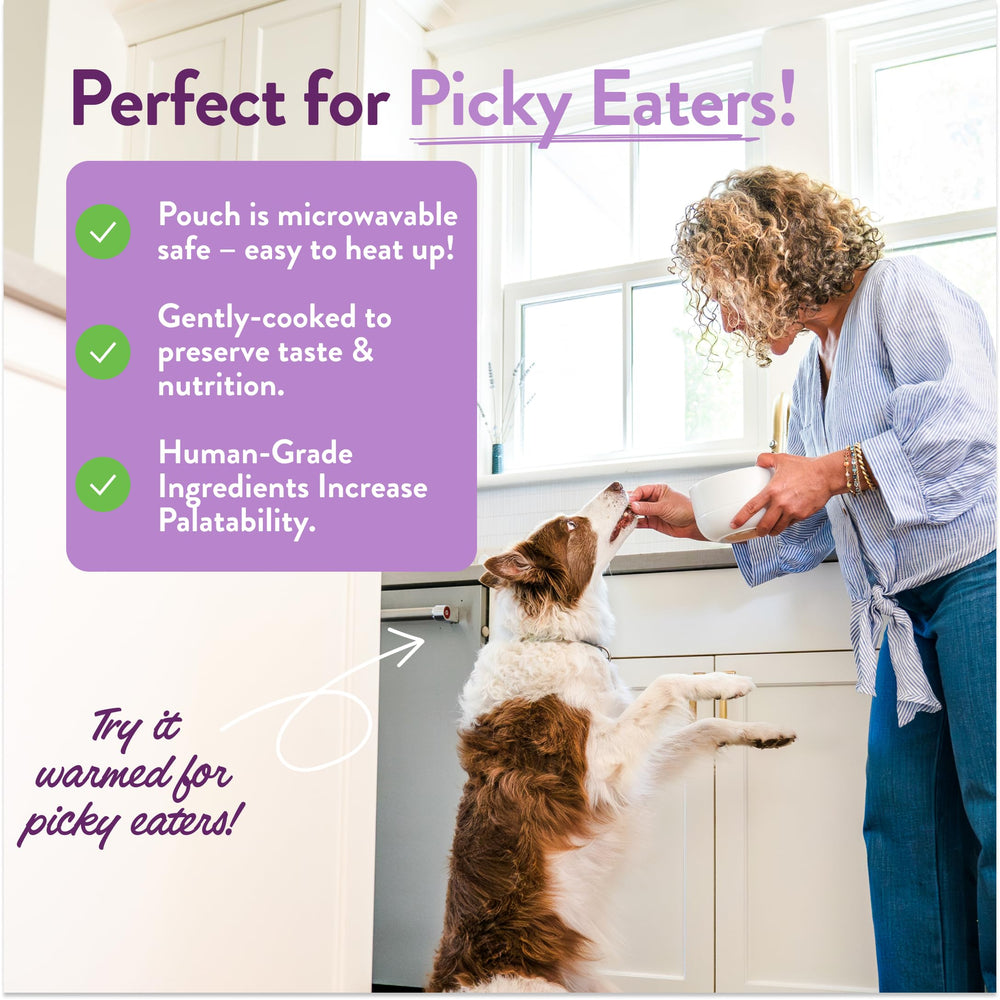 Portland Pet Food Company Winnie's Lamb N Rice shelf-stable display signals year-round variety without refrigeration.