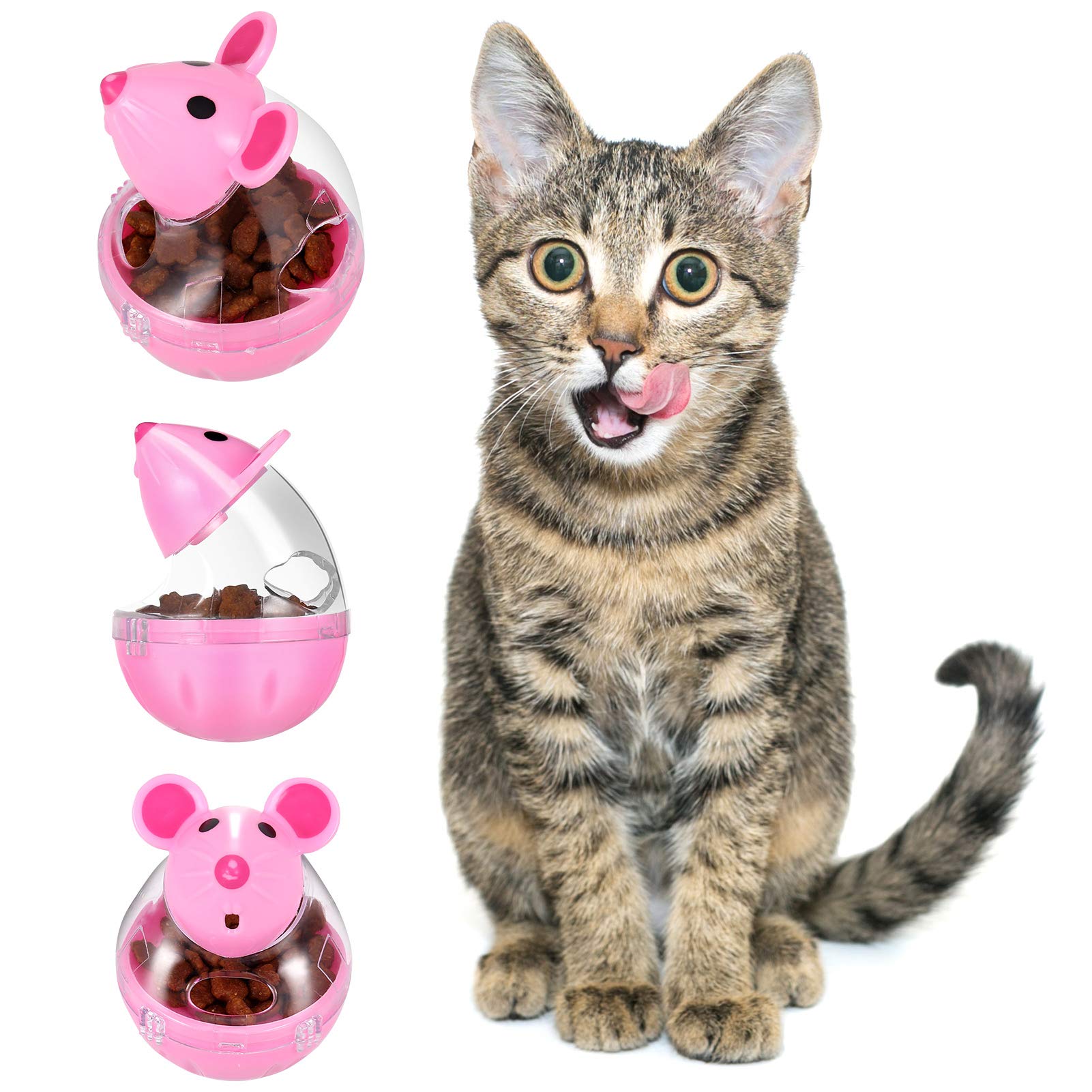 Portown Lightbox four-pack image conveys multiple cats can share.