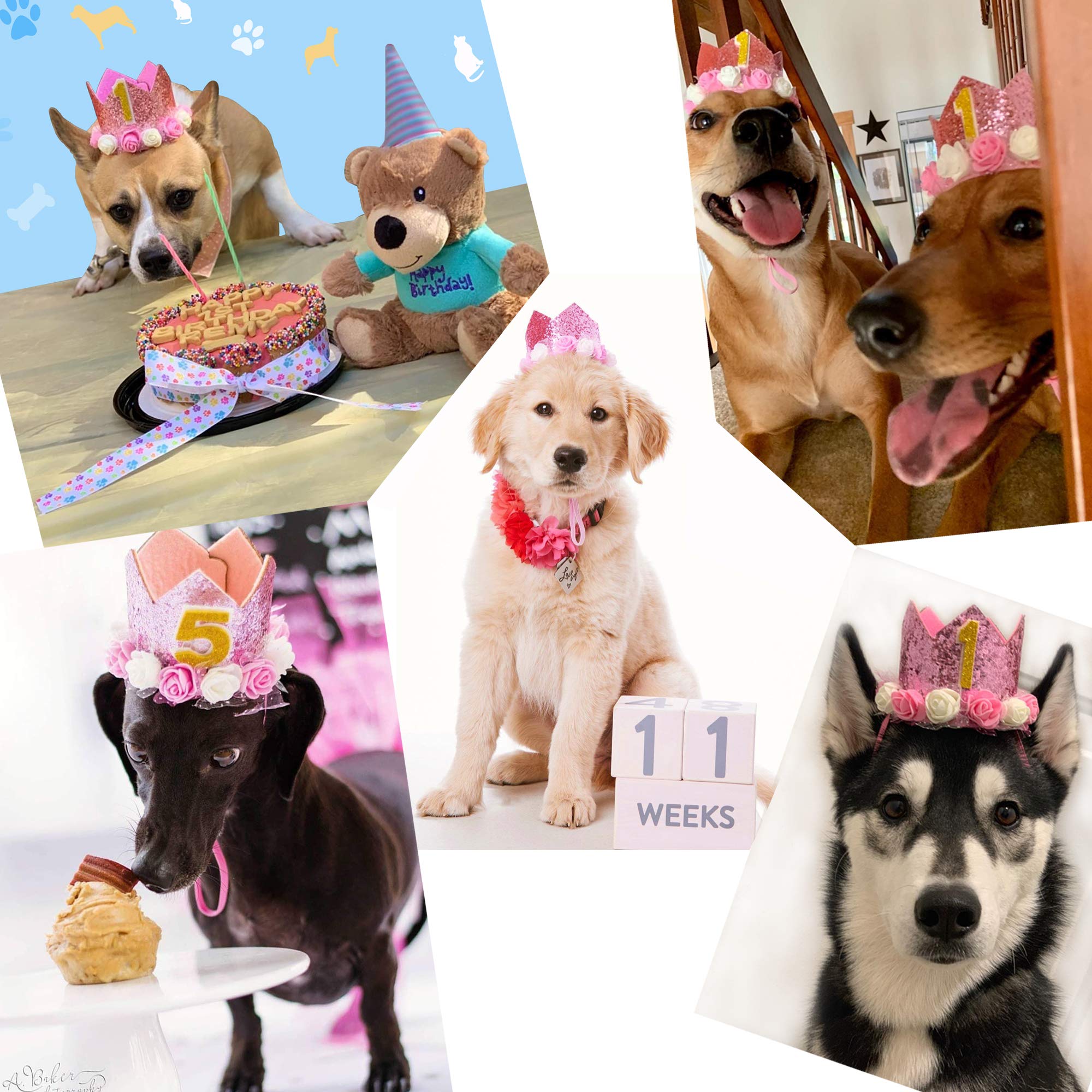 POSAPET dog birthday hat adjustable strap; ensures comfortable fit for various dogs.