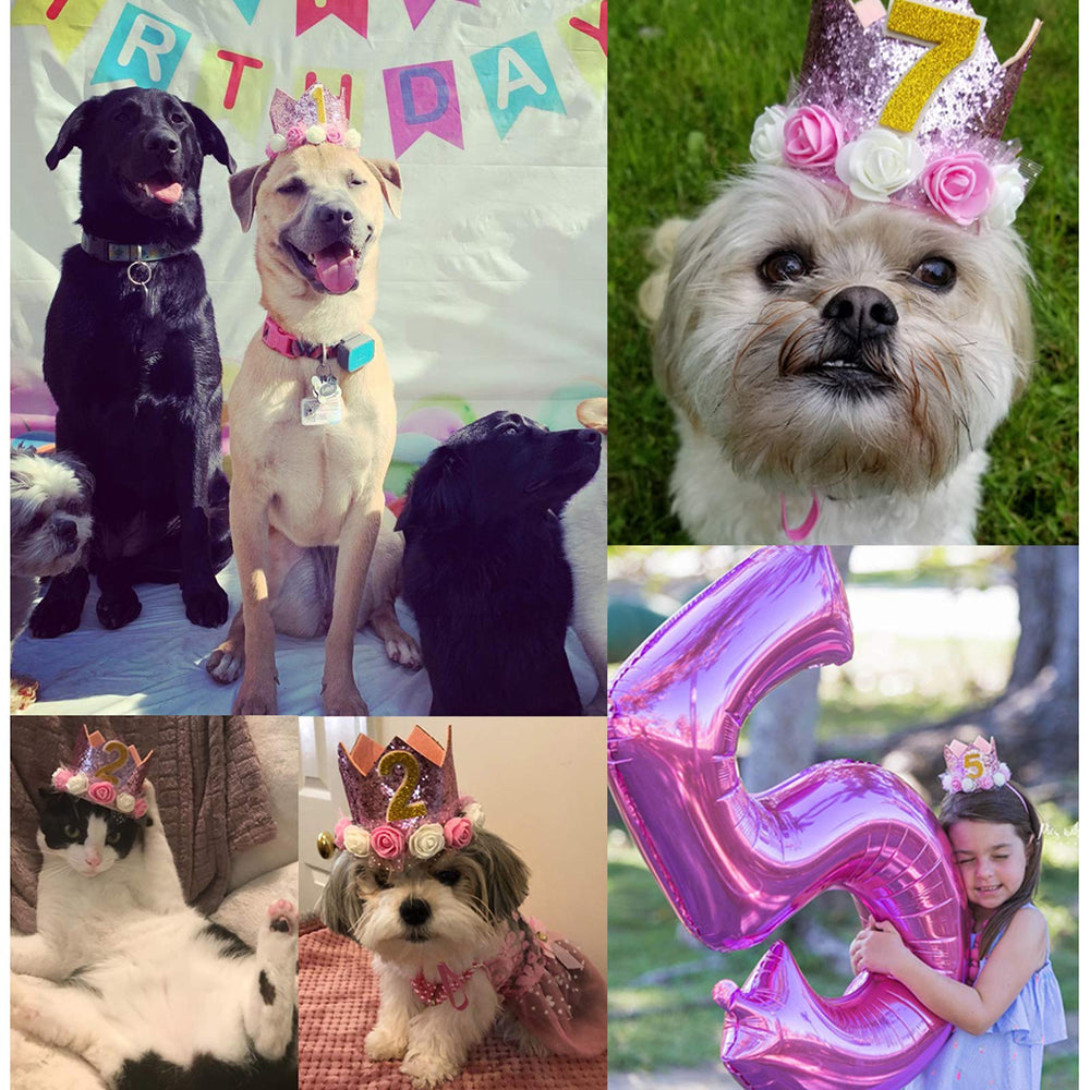 POSAPET happy pet birthday outfit; perfect for festive photos and gatherings.
