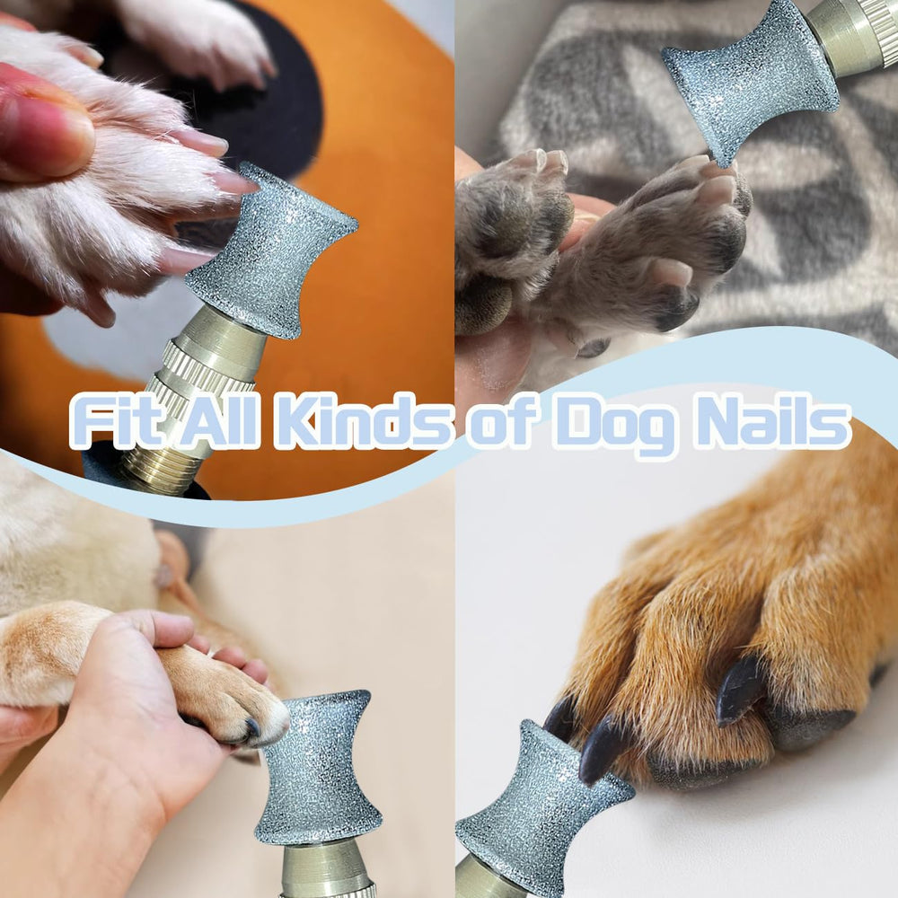 Posinda low-noise nail grinding session for a stress-free grooming