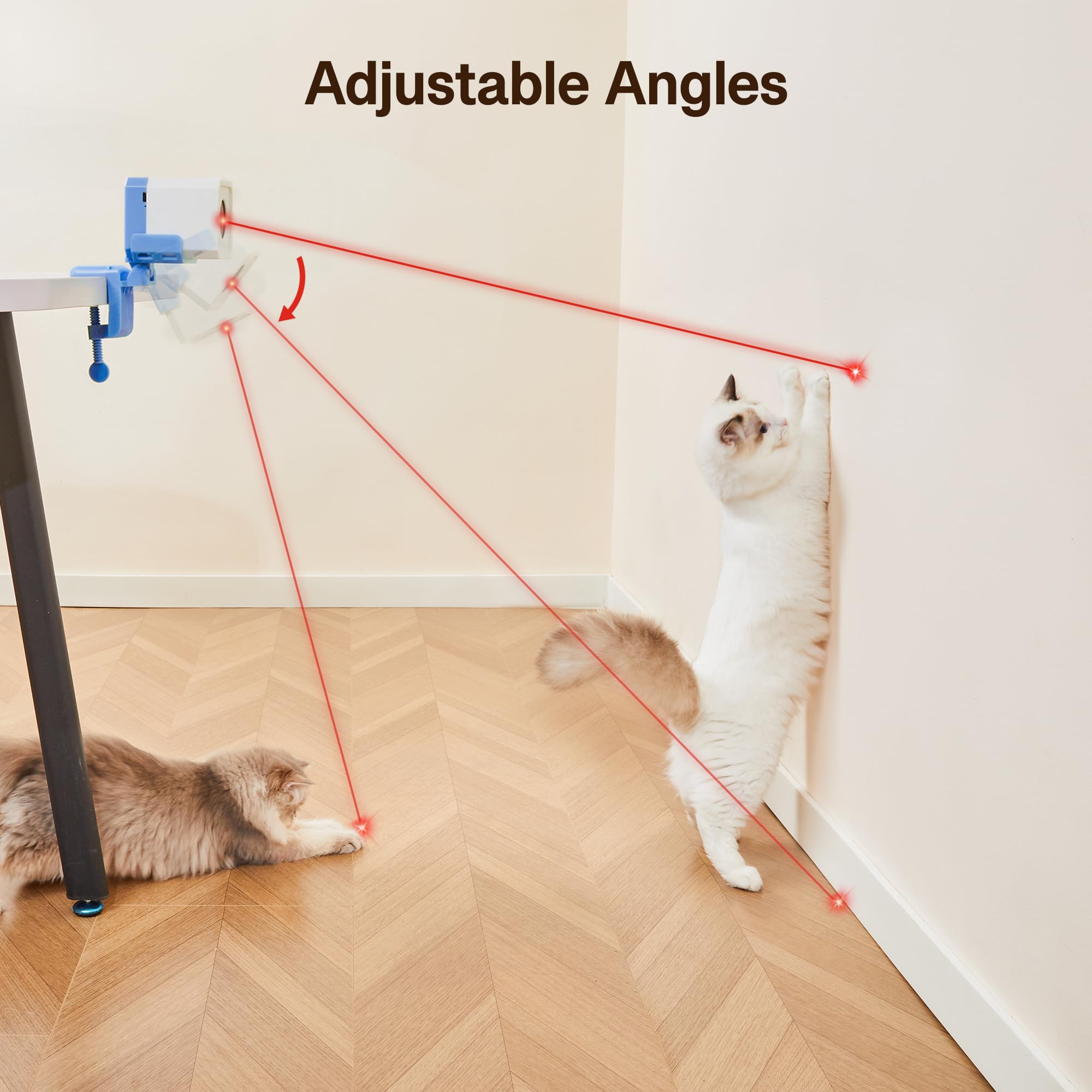 Potaroma adjustable-angle laser projection demonstrates versatile play directions for curious cats