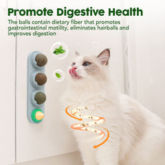 Potaroma breath-freshening dental-ball highlights teeth-cleaning and oral health support.