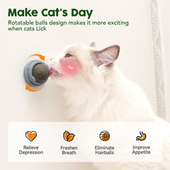 Potaroma cat energy ball edible toy supports playful activity and metabolism