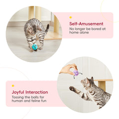 Potaroma cat-exercise enrichment ball invites pouncing and batting to stimulate natural instincts.