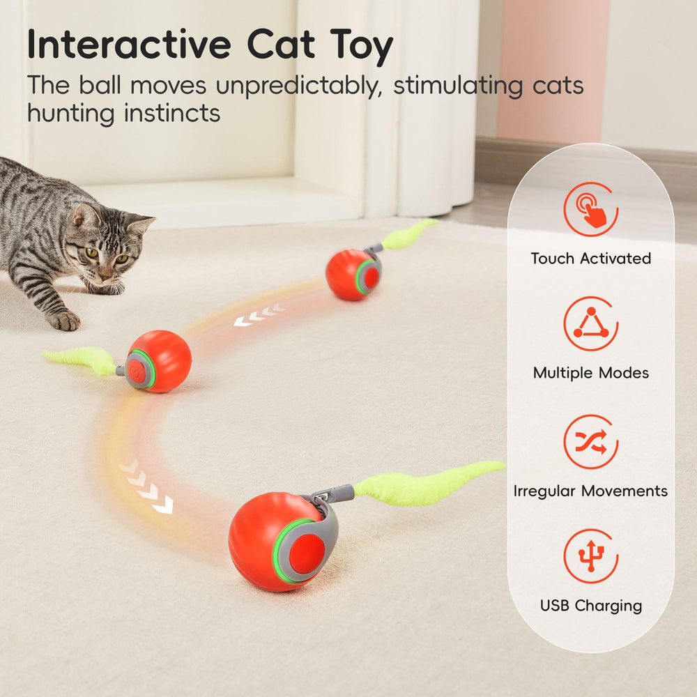 Potaroma cat toy with detachable feather tail fuels hunting play and engagement.