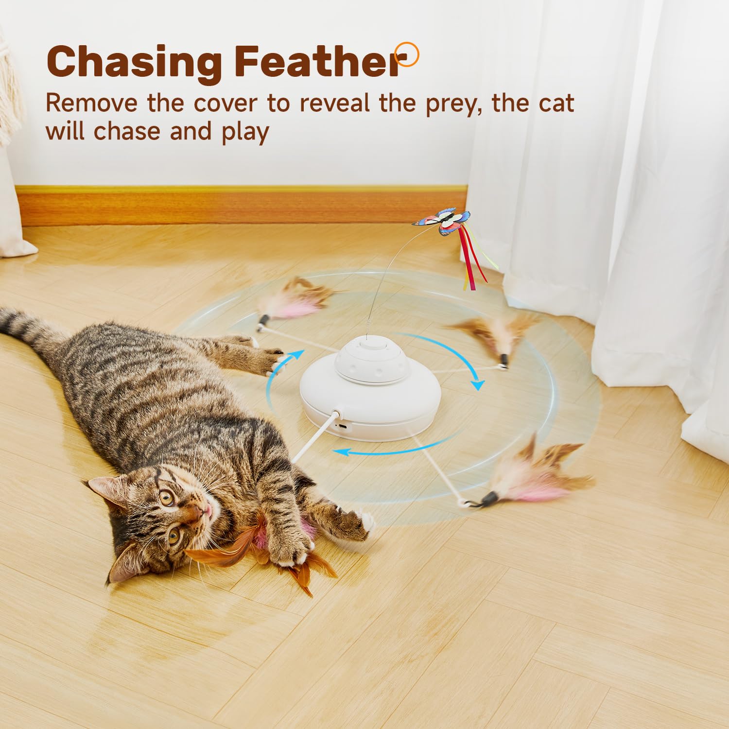 Potaroma cat toy interactive modes offer varied indoor play options