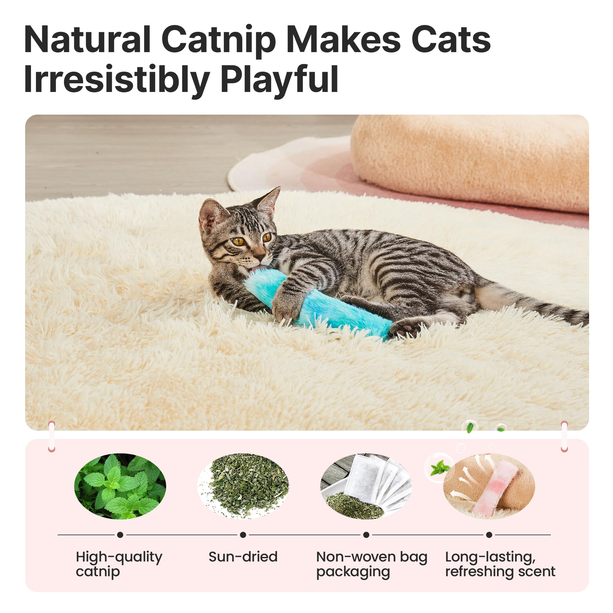 Potaroma kitten kicker pillows in bright pastel colors attract batting and chasing