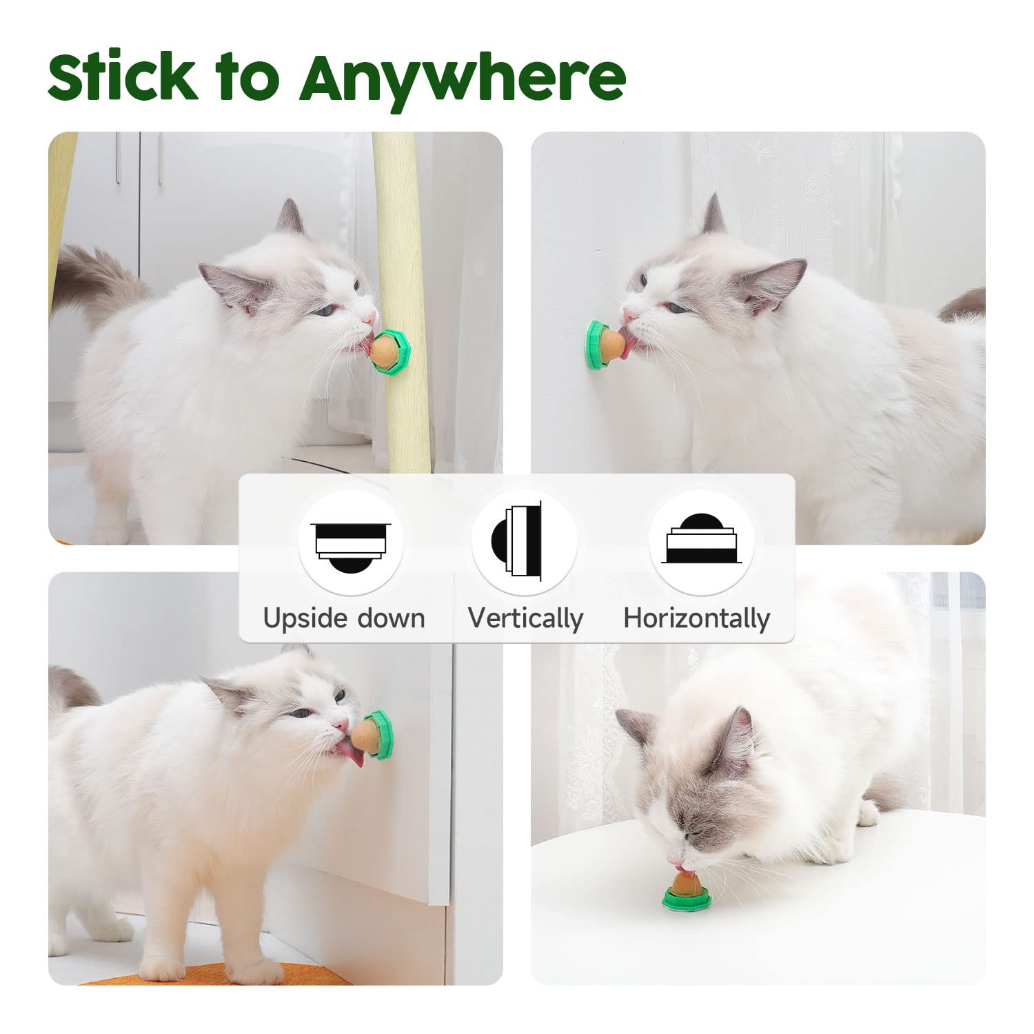 Potaroma cat-wall treat play on wall demonstrates enrichment option