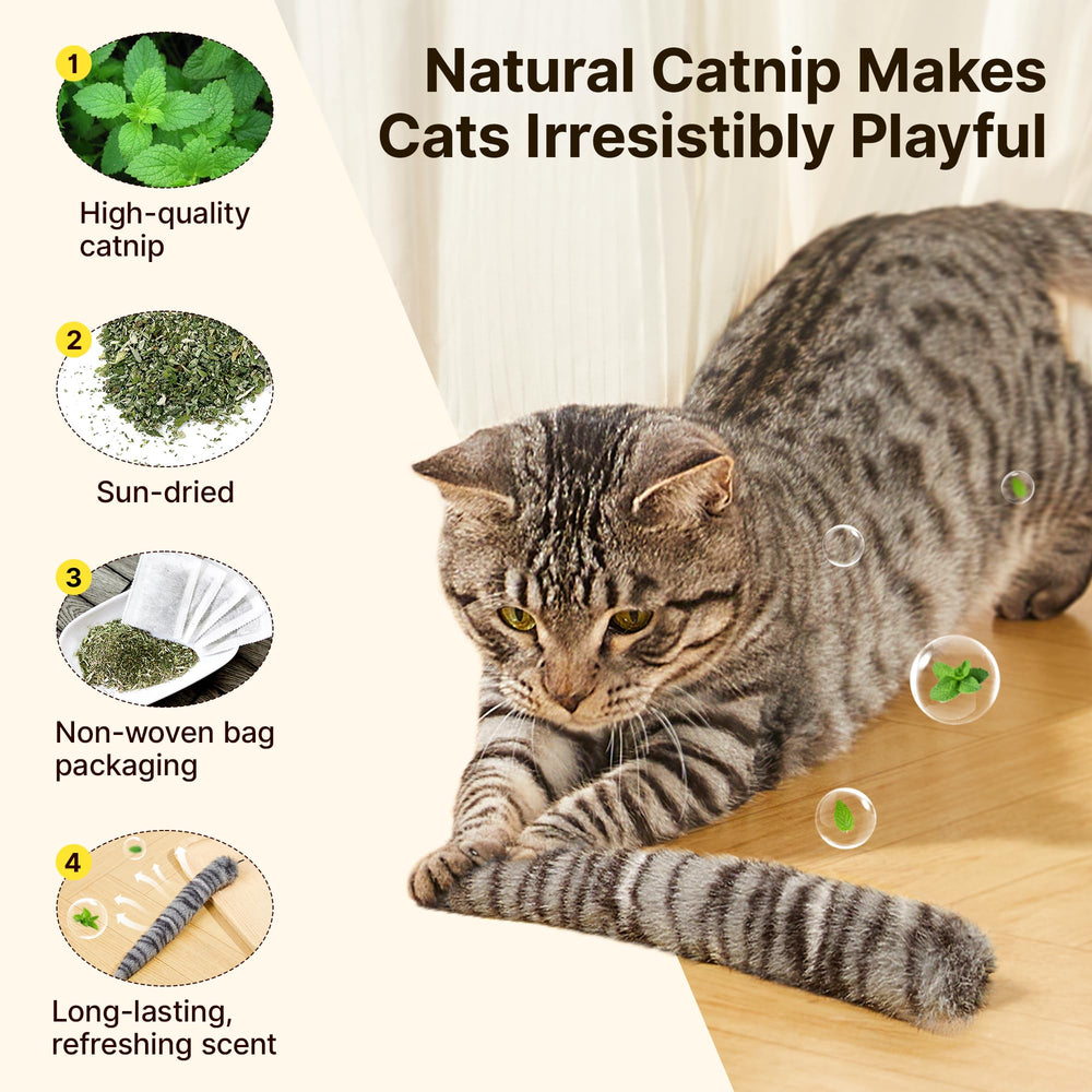 Potaroma catnip inside delight enhances scent-driven stimulation during indoor play.