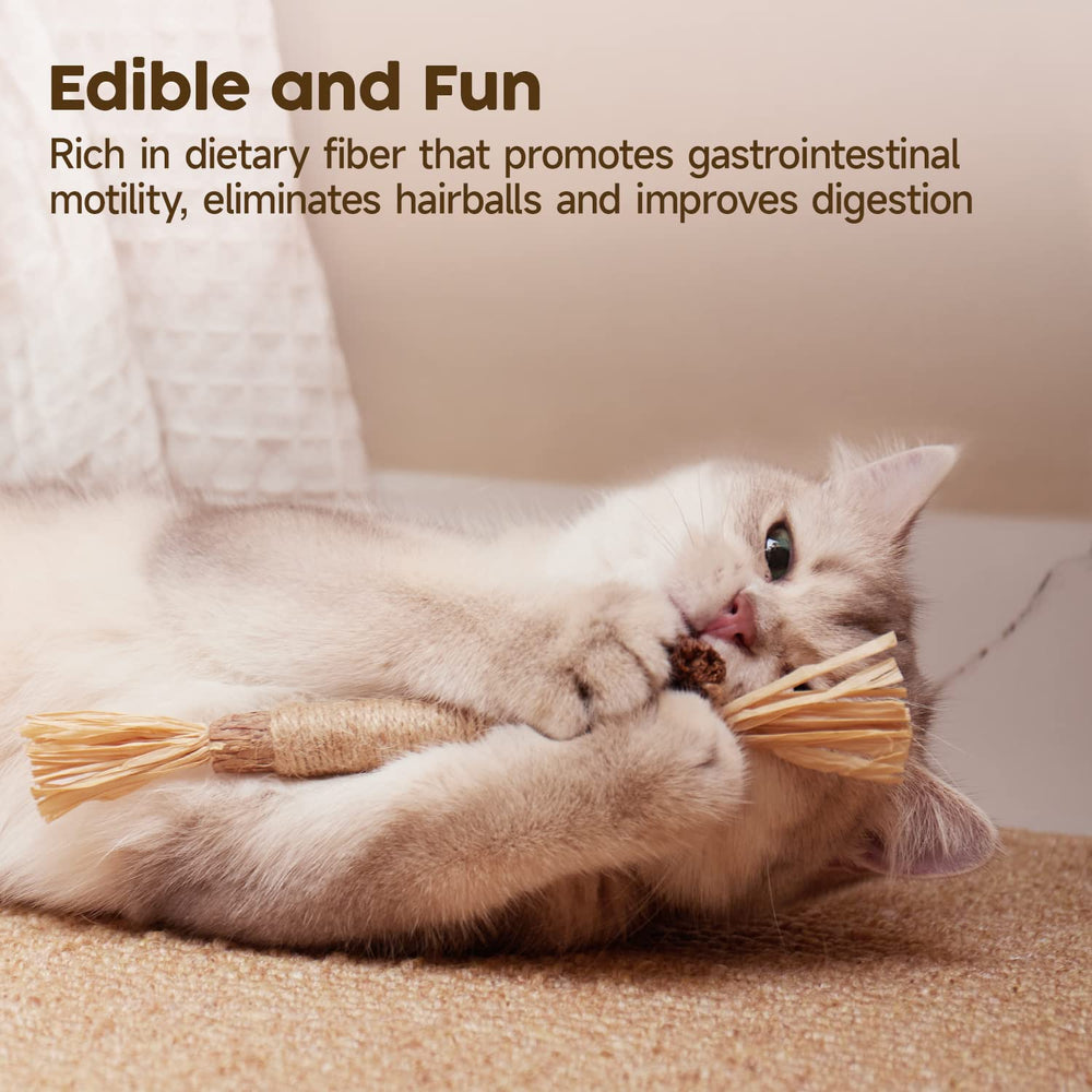 Potaroma catnip kittens chew toy demonstrates playful scent and exploration for kittens.