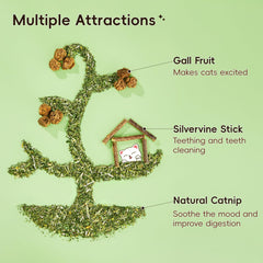 Potaroma catnip-sticks-closeup highlights natural enrichment for playful chewing.