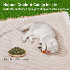 Potaroma chirping bird toy action captures a cat responding to automatic chirp for interactive hunting.