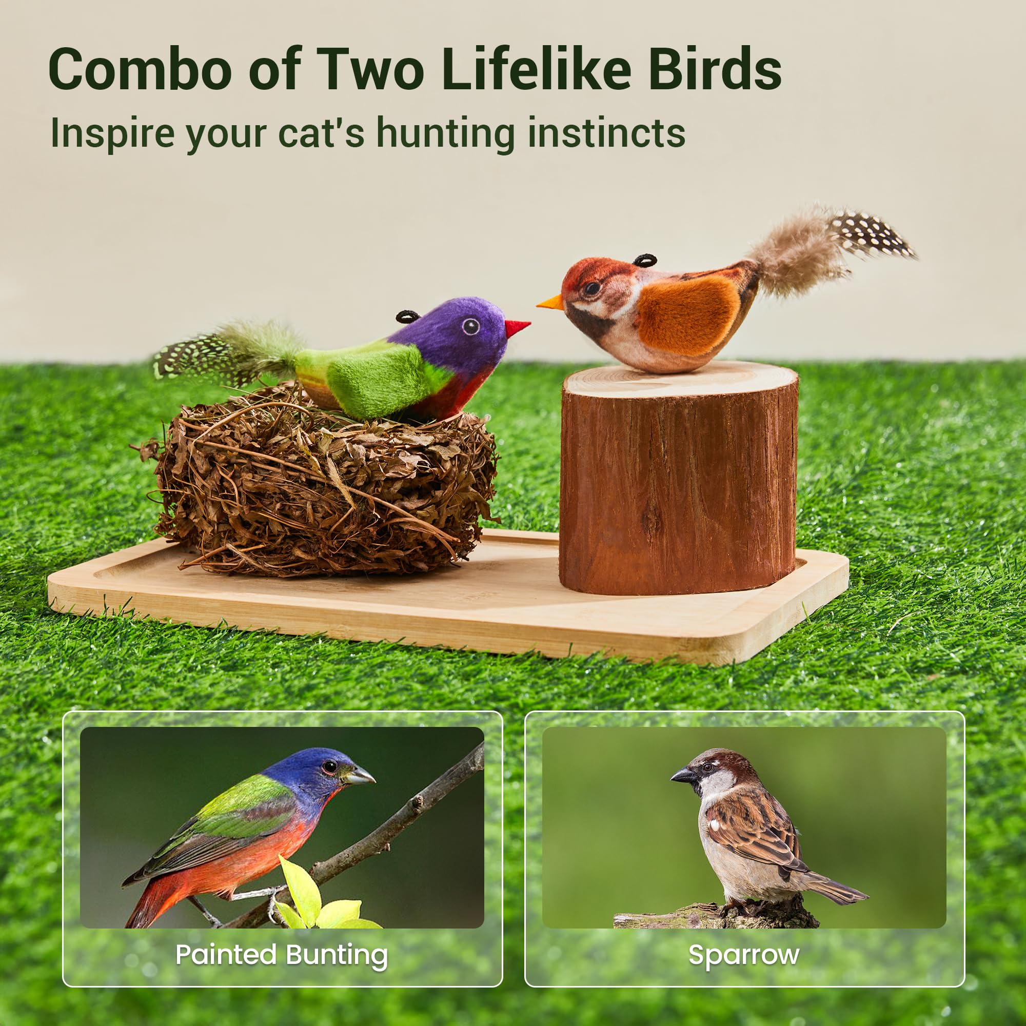 Potaroma chirping bird toy gift set emphasizes durable design and family-friendly fun for cats.