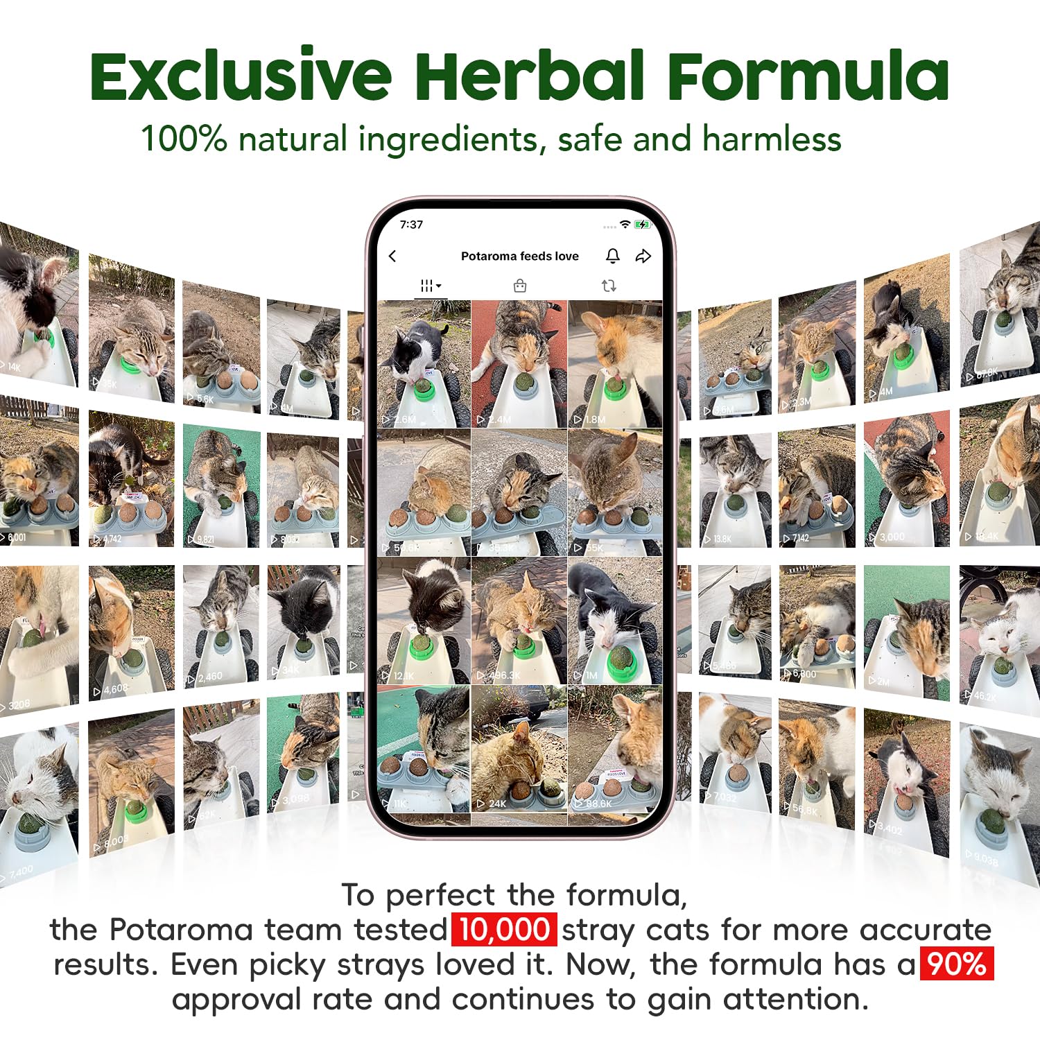 Potaroma dental-cleaning cat toy supports breath-friendly chewing.