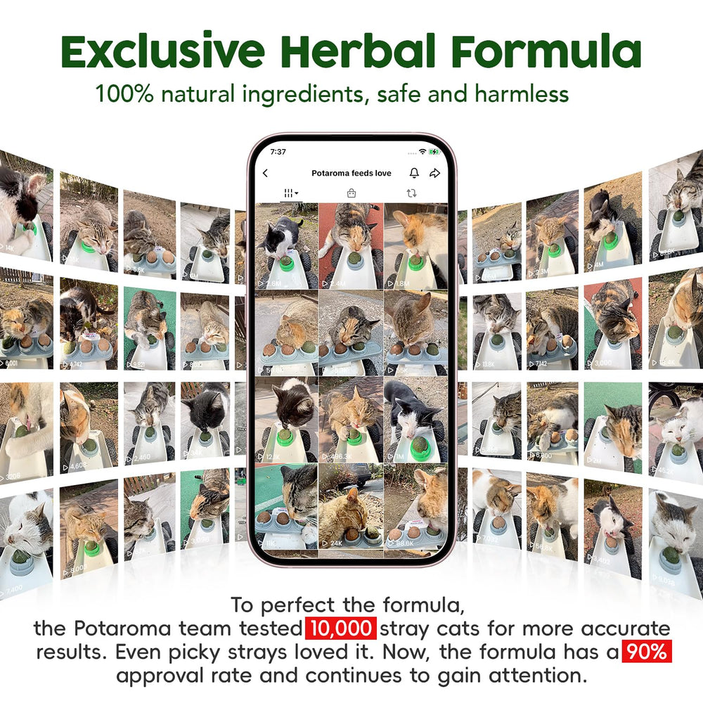 Potaroma dental-cleaning cat toy supports breath-friendly chewing.