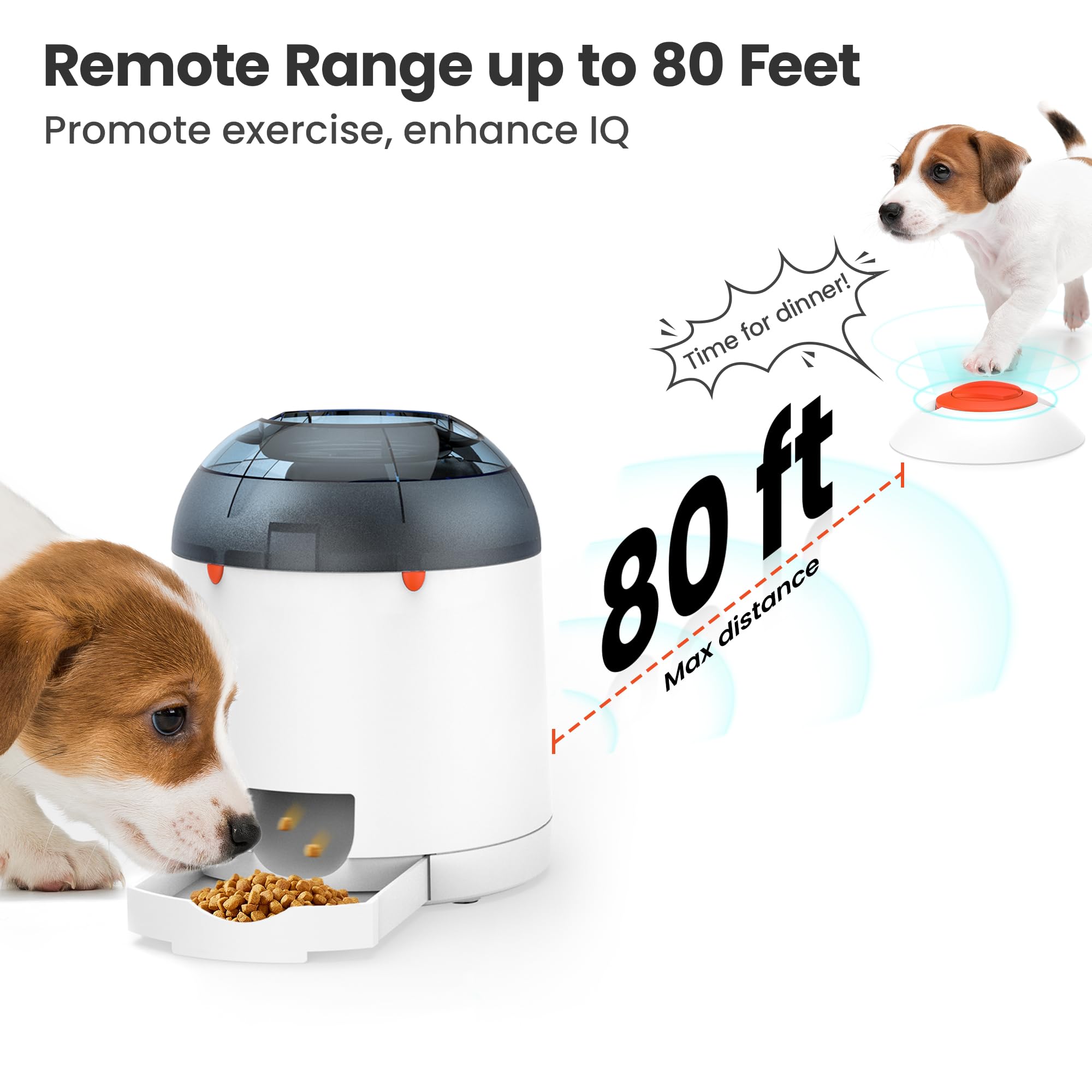 Potaroma dog puzzle feeder remote control use shows training and outdoor fun.