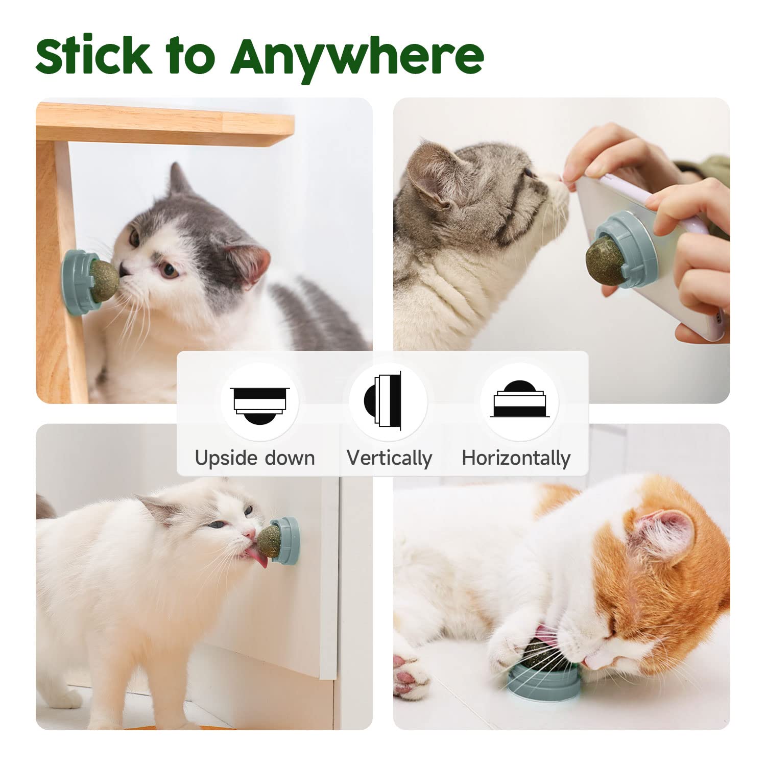 Potaroma easy-stick cat toy on walls or windows for interactive play