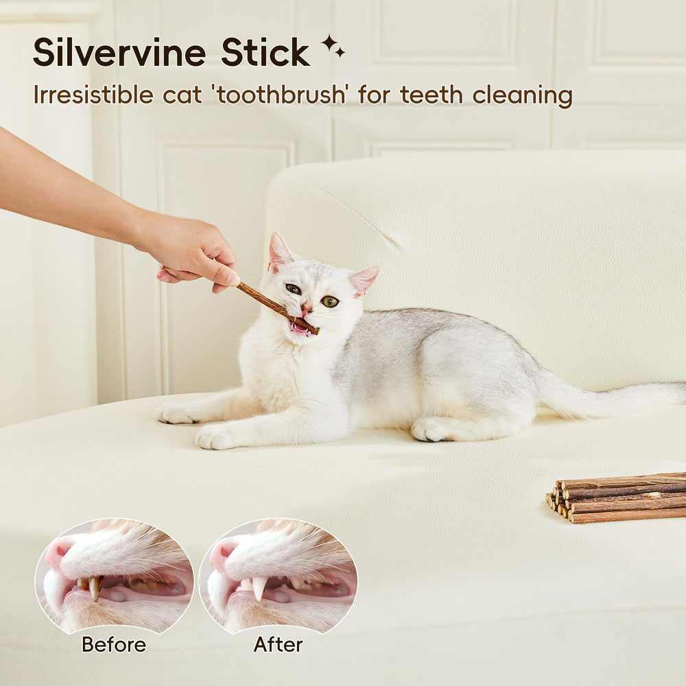 Potaroma fillable-pocket-plush demonstrates customizable catnip rewards.