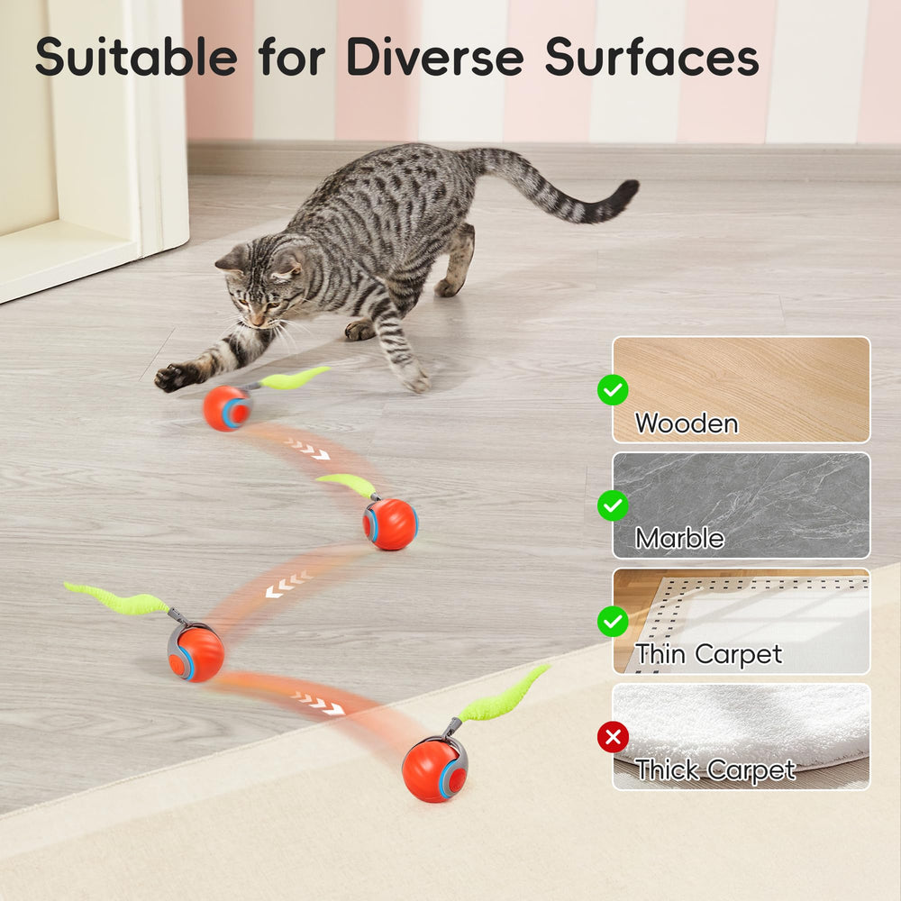 Potaroma Indoor kitten toy supports exercise and enrichment during solo play.