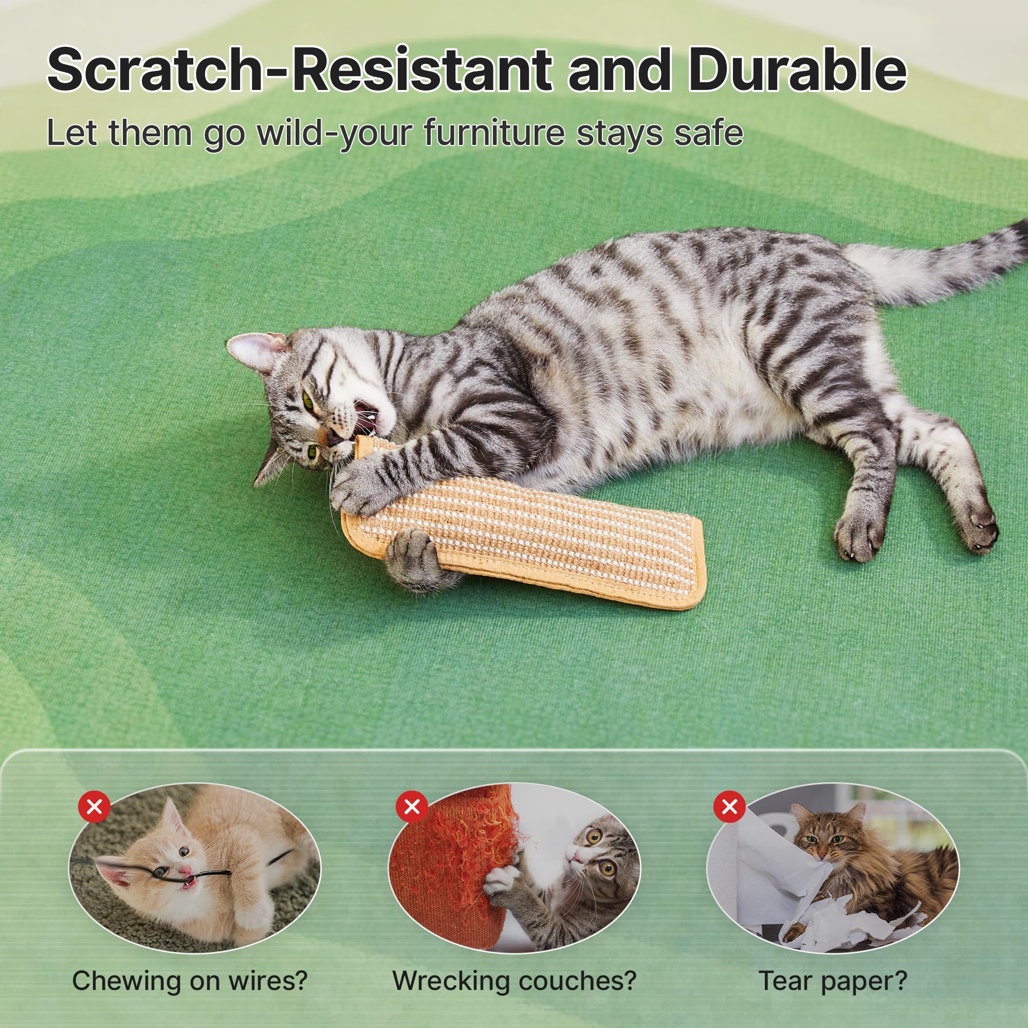 Potaroma interactive-play fosters bonding during shared fun sessions.